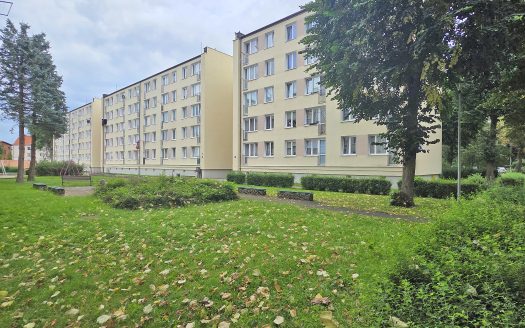 2 pokoje | 1. piętro | klimatyzacja | przy parku | bez zgody MSWiA